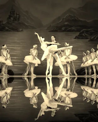 International Ballet Stars: Swan Lake