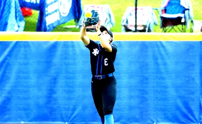 Kentucky Wildcats Softball