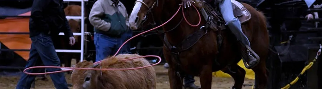 Lone Star Rodeo
