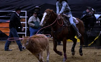 Lone Star Rodeo